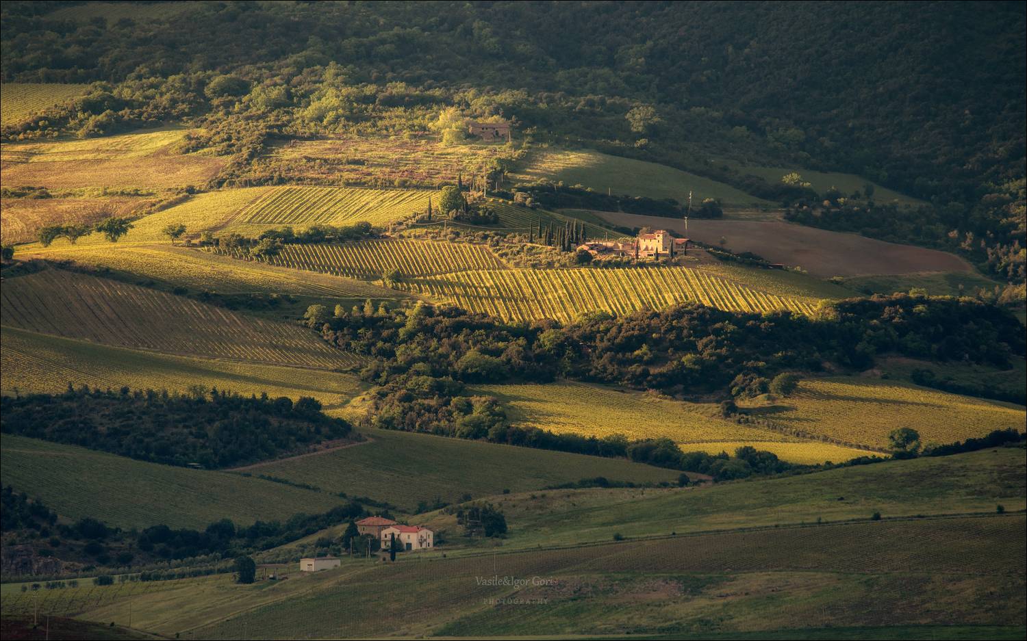 italy, montegiovi,italia,свет,италия,тоскана,кипарис,toscana,весна,tuscany,cipressi,belvedere,пьенца,тени,rural, Гори Василий