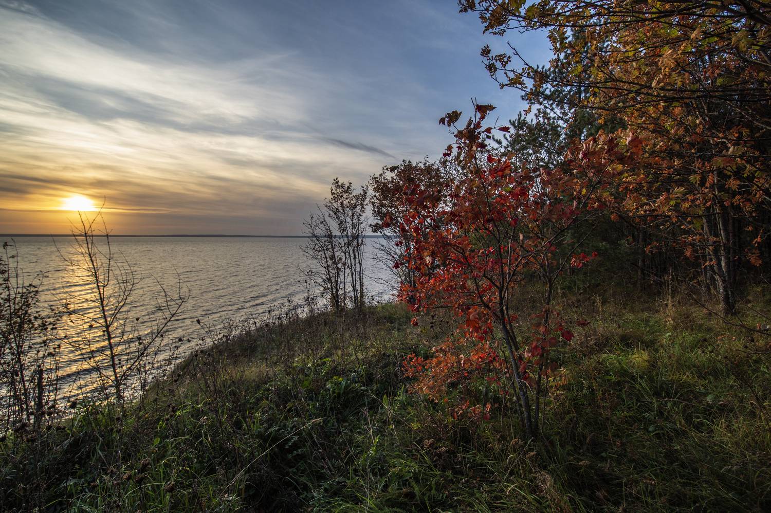 , Шитов Александр