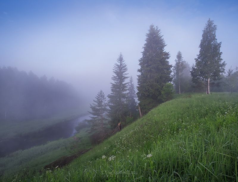 ... в царстве тумана ...photo preview