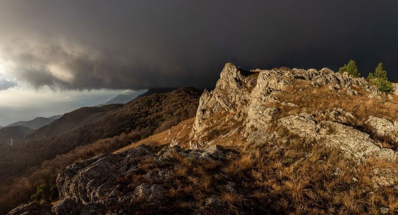 Ожиданиеphoto preview