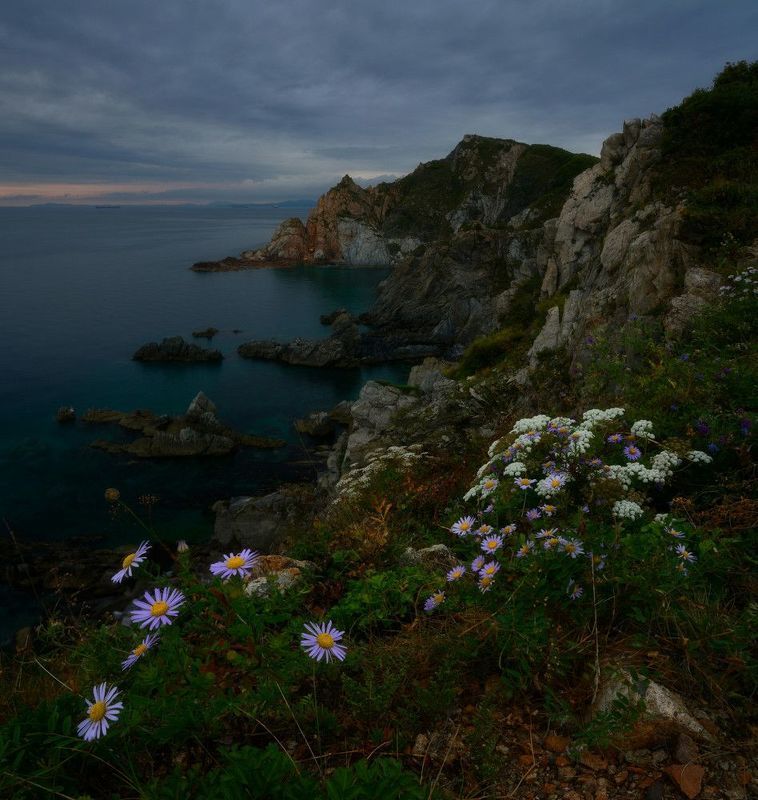 приморье Мыс Пассека.photo preview