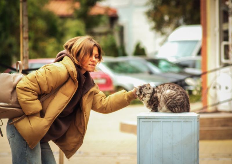 Про город котовphoto preview