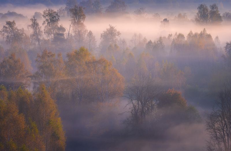 истра, осень, пейзаж, рассвет, туман Туманы осени фото превью