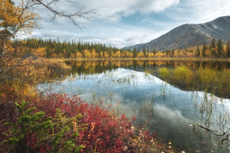 кольский, хибины Осень в Хибинахphoto preview