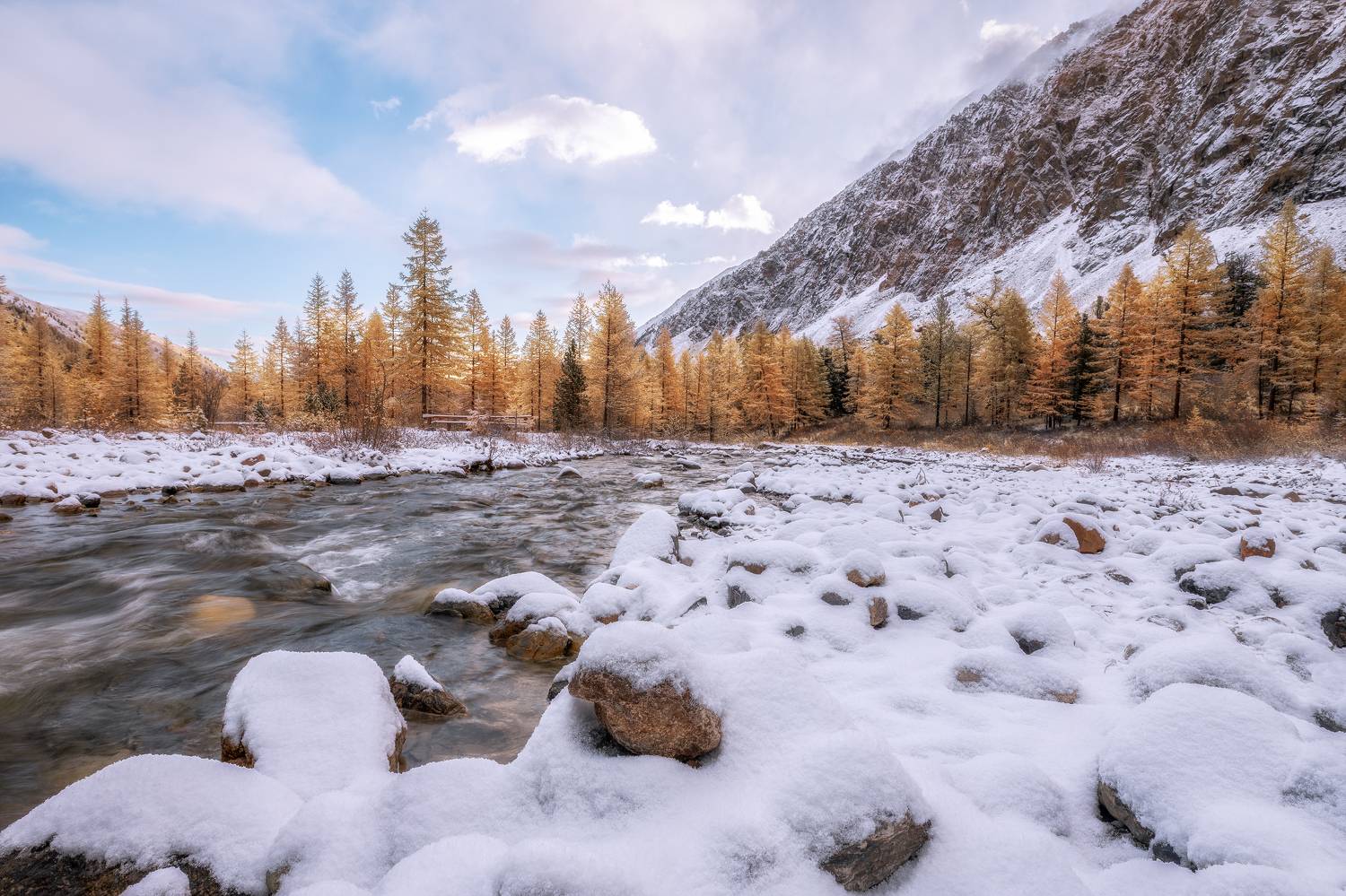 алтай, Гусева Елена