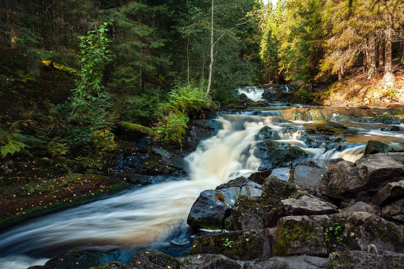 река Иййоки фото превью