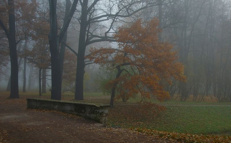 Autumn sadnessphoto preview