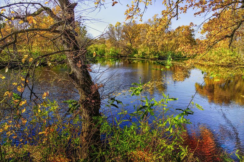 Red Fallphoto preview