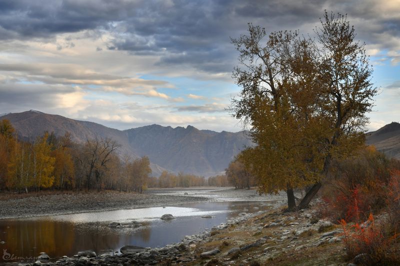 Дорогами Алтаяphoto preview