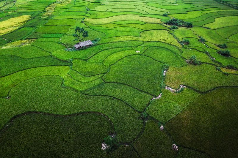 Patternsphoto preview