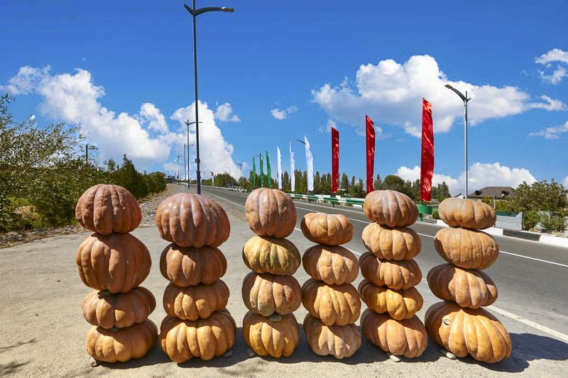 Тыквенная осень  на окраине Душанбе. Чорьякорон.Гиссар; Душанбеphoto preview