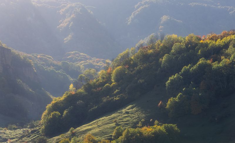 свет, лес, осень, кавказ Трепет осениphoto preview