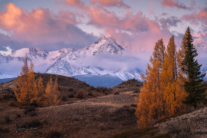 актру,алтай,осень,курай,утро,рассвет Утро в Курайской степи фото превью