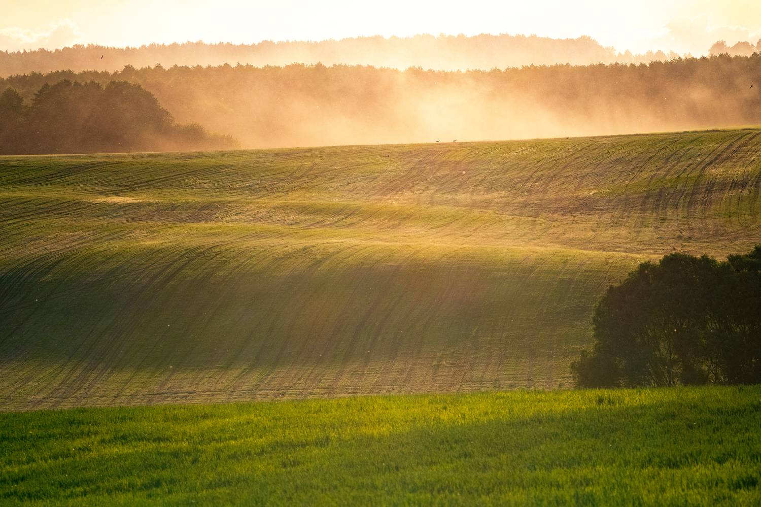 Гродненские горки. Автор: Dzmitry Hurynovich , Dzmitry Hurynovich