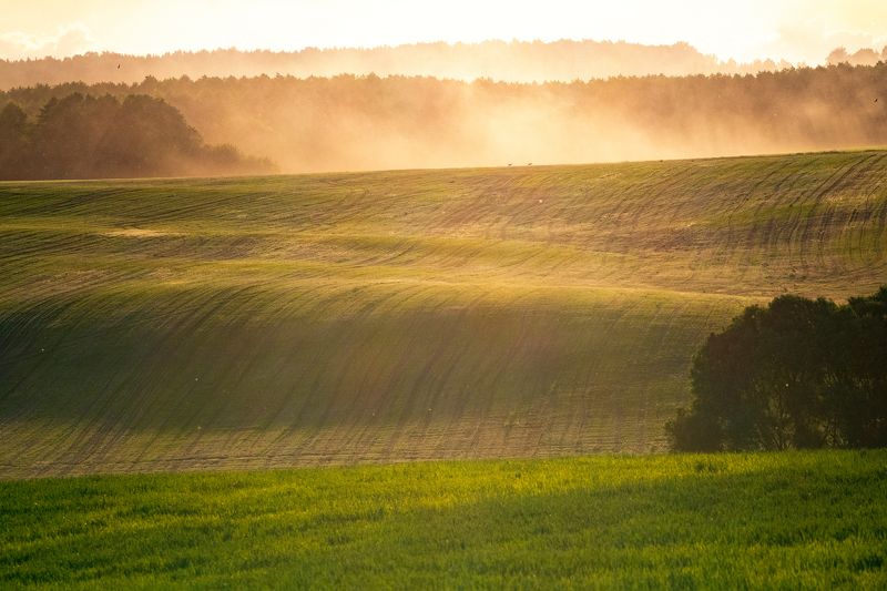 Гродненские горкиphoto preview