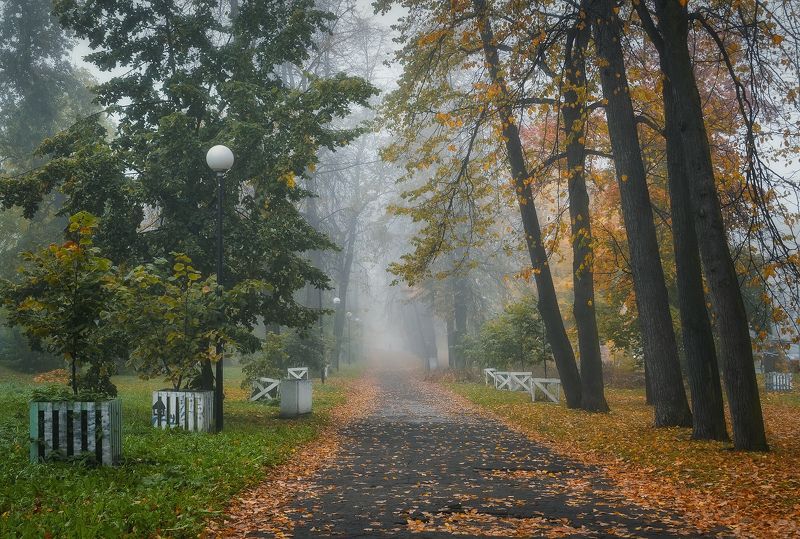 Октябрьphoto preview