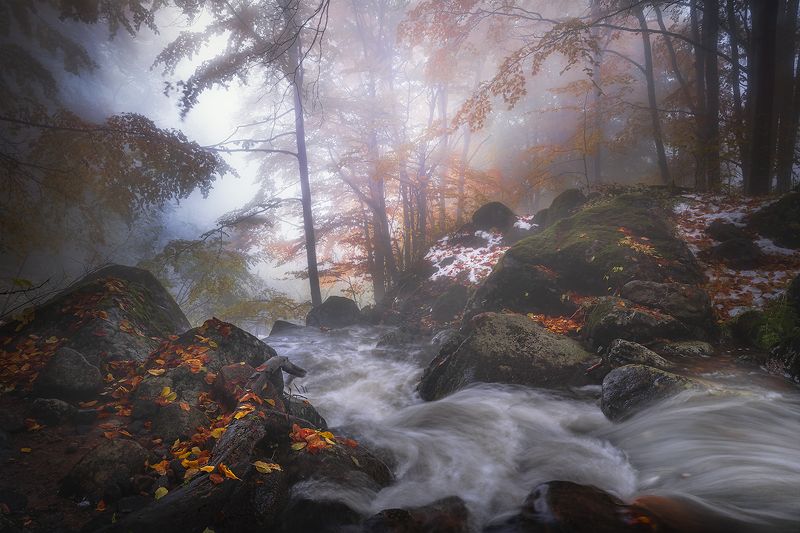 landscape nature scenery forest wood autumn mist misty fog foggy river colors leaves mountain vitosha bulgaria лес Autumn refrainphoto preview