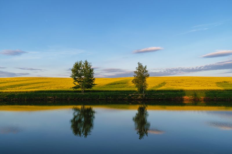 весна май рапс вечер закат поле небо *** фото превью