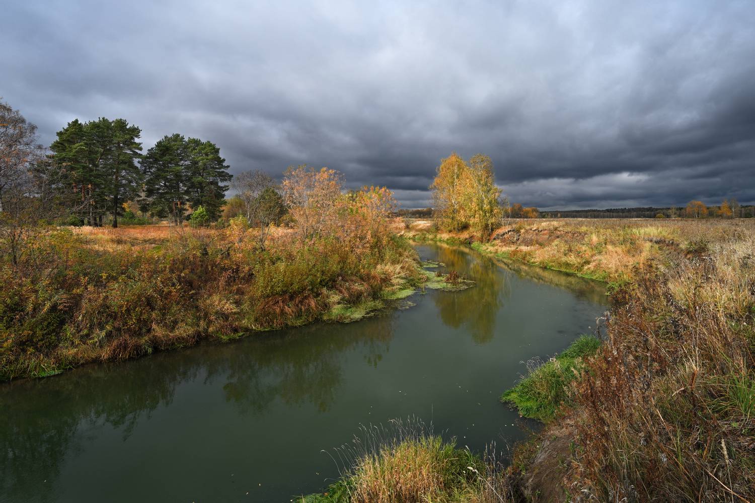 хмурая осень. Автор: Виталий Полуэктов осень, река, берег, берёзы, отражение, небо, тучи, свет, Виталий Полуэктов
