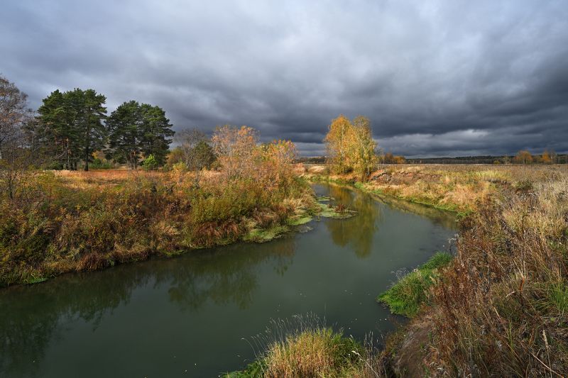 осень, река, берег, берёзы, отражение, небо, тучи, свет хмурая осеньphoto preview