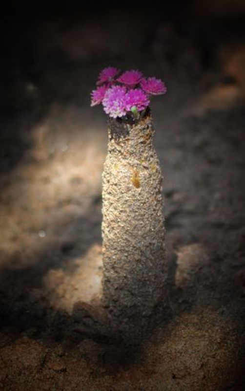 “The war will end, the leaders will shake hands, that old woman will still wait for her martyr son, that girl will wait for her beloved husband, and these children will wait for their heroic father. I don\'t know who sold the country! But I saw----who paidphoto preview