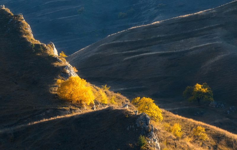 свет пейзаж вечер горы деревья солнце Освещенные солнцемphoto preview
