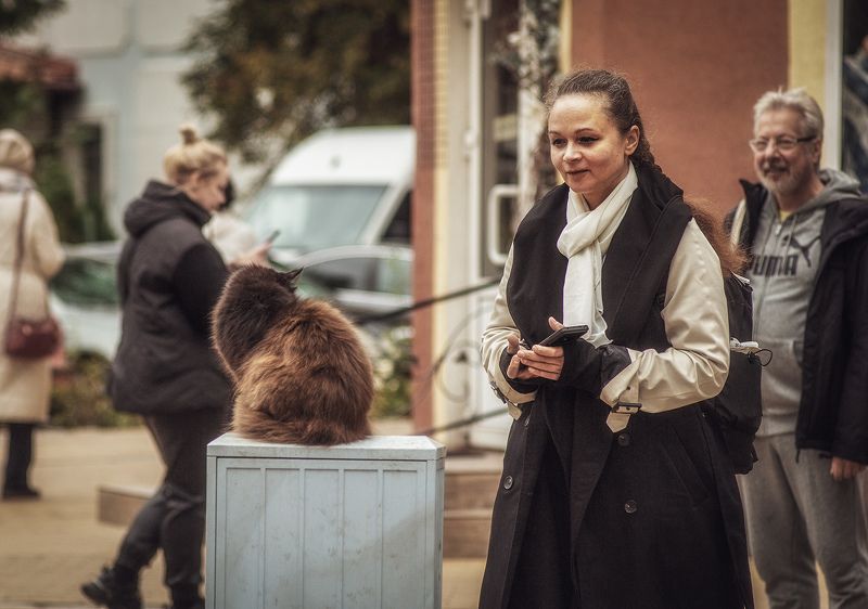 Про город котовphoto preview