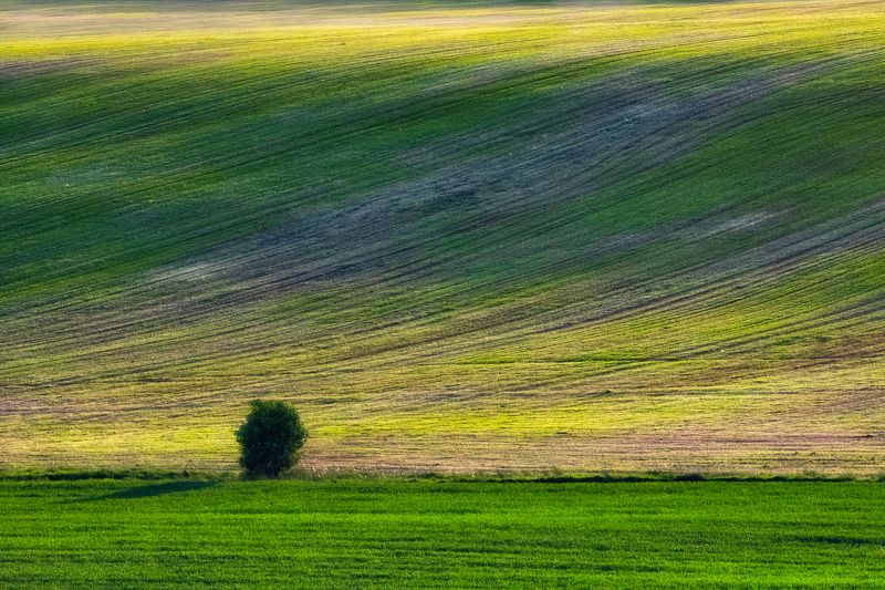 Гродненские горкиphoto preview