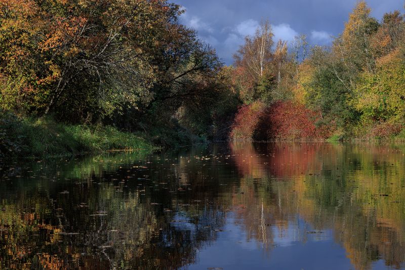 осень золото листва река вода отражение солнце желтизна Краски осениphoto preview