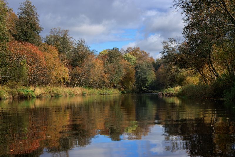 осень река вода отражение золото желтизна листопад Тихо уплываю в осень...photo preview