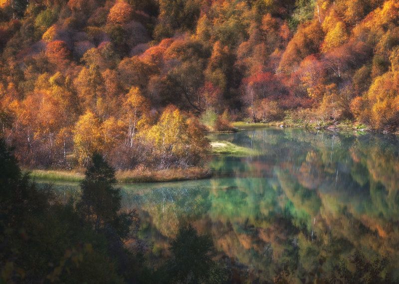 Золото горных озерphoto preview