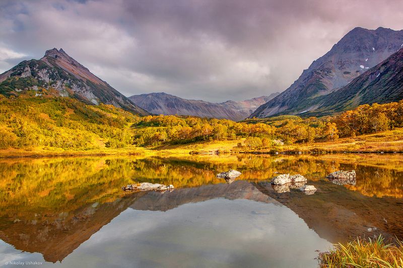 осеньphoto preview