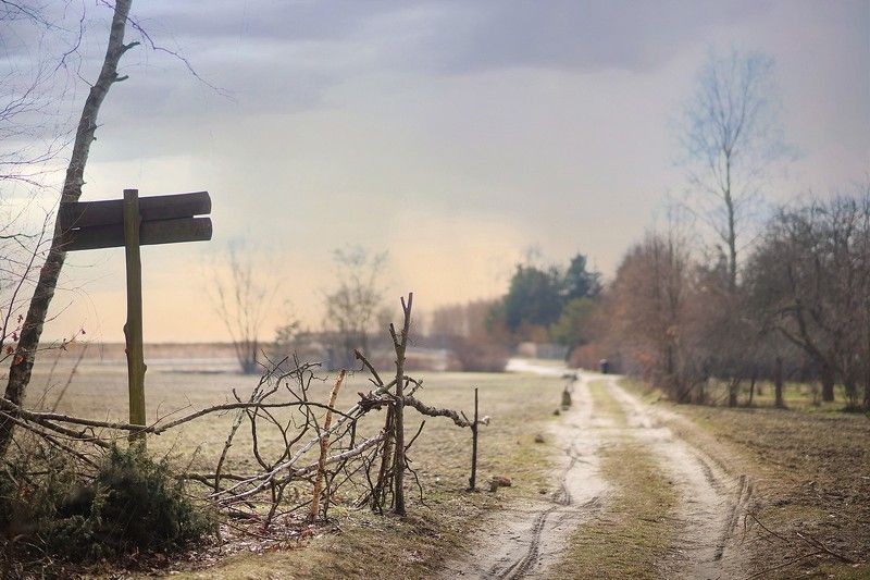 Дорогаphoto preview