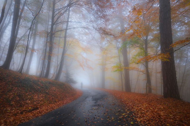 Крымская осеньphoto preview