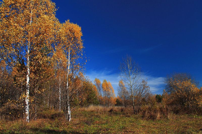 осень, октябрь photo preview