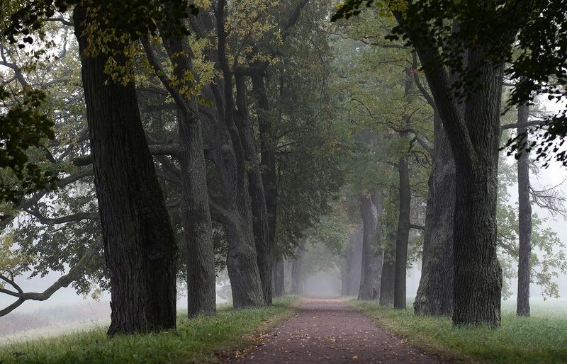 Morning in early Octoberphoto preview