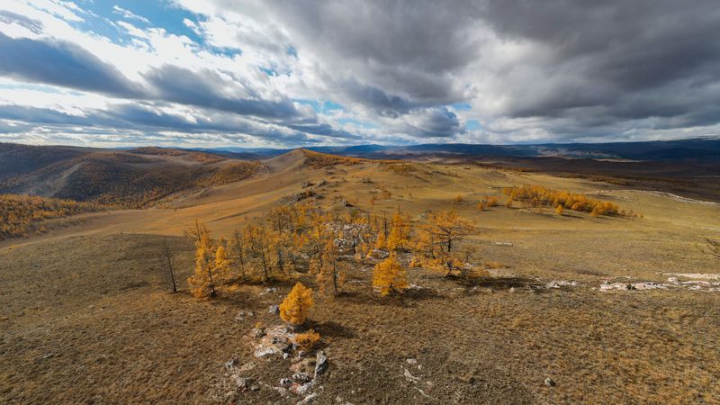 Тажераныphoto preview