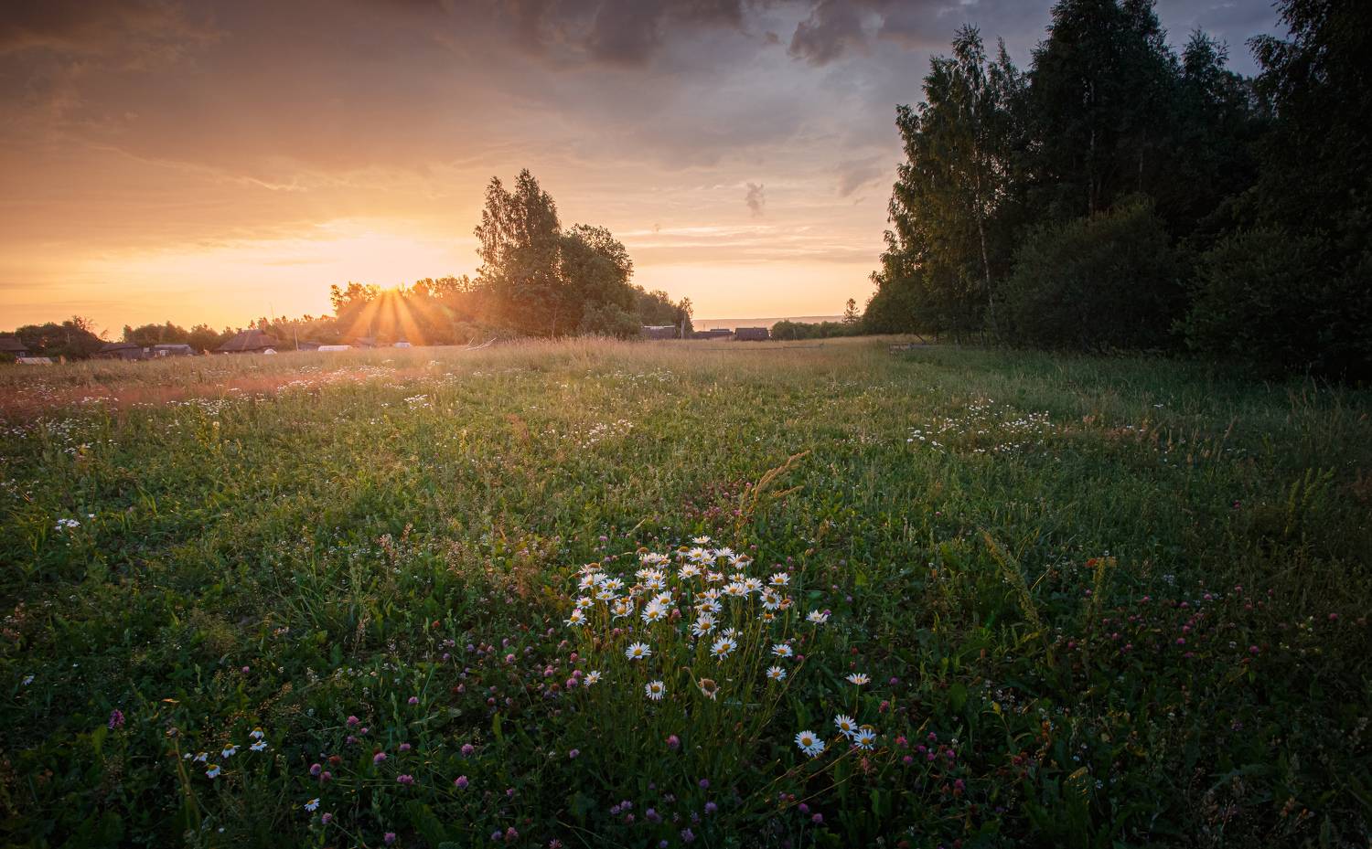 Начало нового дня.... Автор: Зеленько Дмитрий , Зеленько Дмитрий