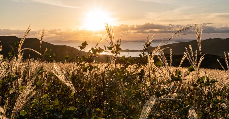 россия, приморский край, приморье, японское море, полуостров гамова, бухта витязь, закат Закат в Приморье фото превью