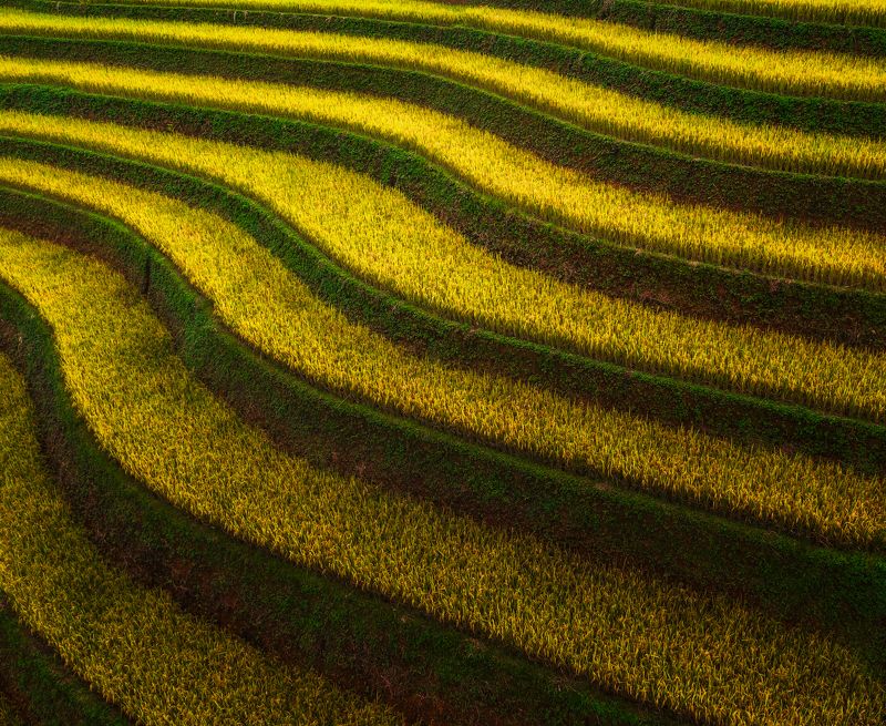 Endless greenphoto preview