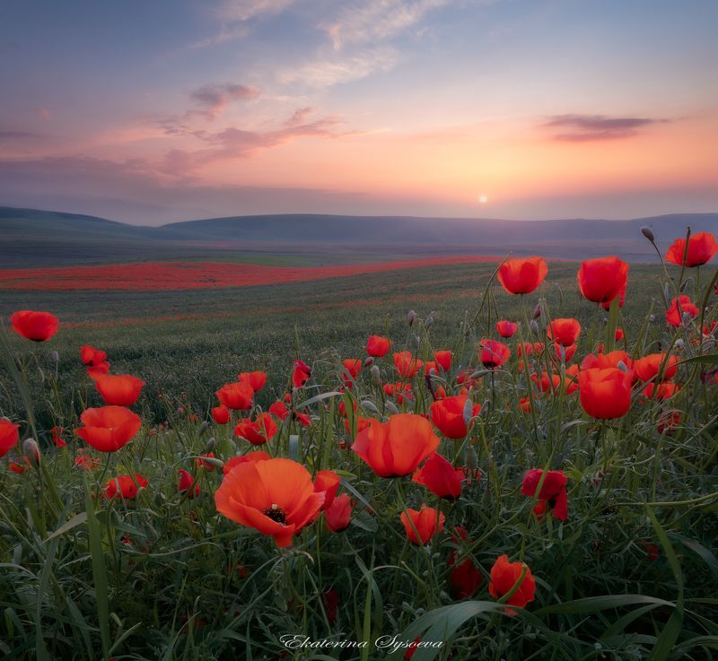 кыргызстан, киргизия, фототур в киргизию, иссык-куль, каньон сказка Маки фото превью