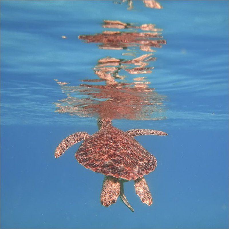 Вдохphoto preview