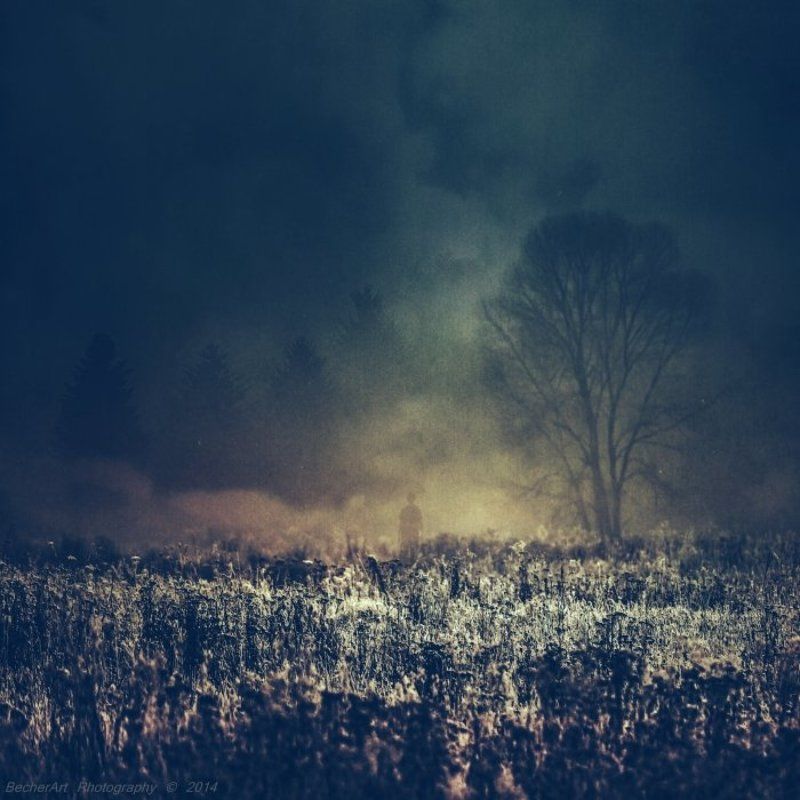 Location:Silence (Part.III.)photo preview