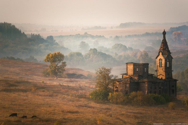 Три, черный, корова, село, Старая Ерыкла, Ульяновск, Россия, романов, туман, дымка, рассвет, деревня Три черные коровы фото превью