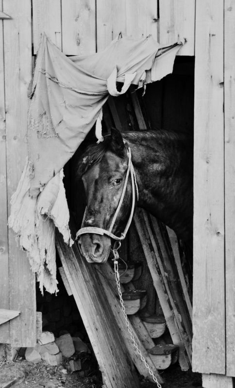 Федорphoto preview