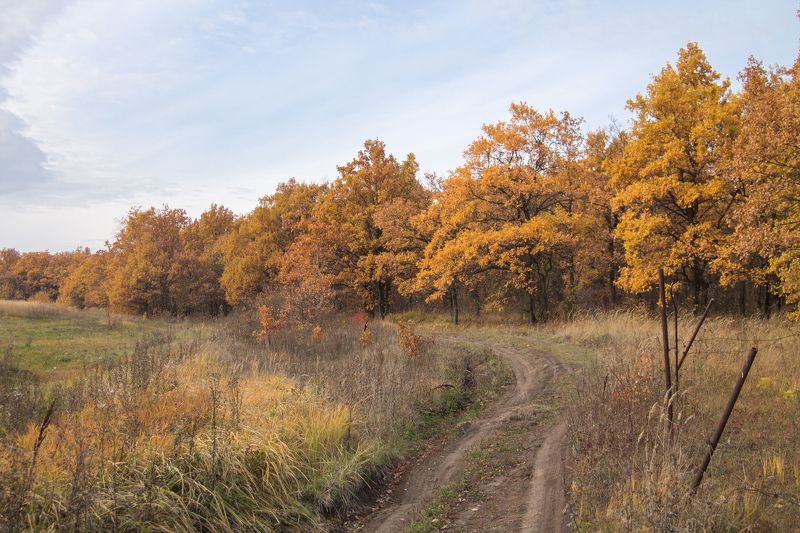 Алексей Щелкунов, Russia