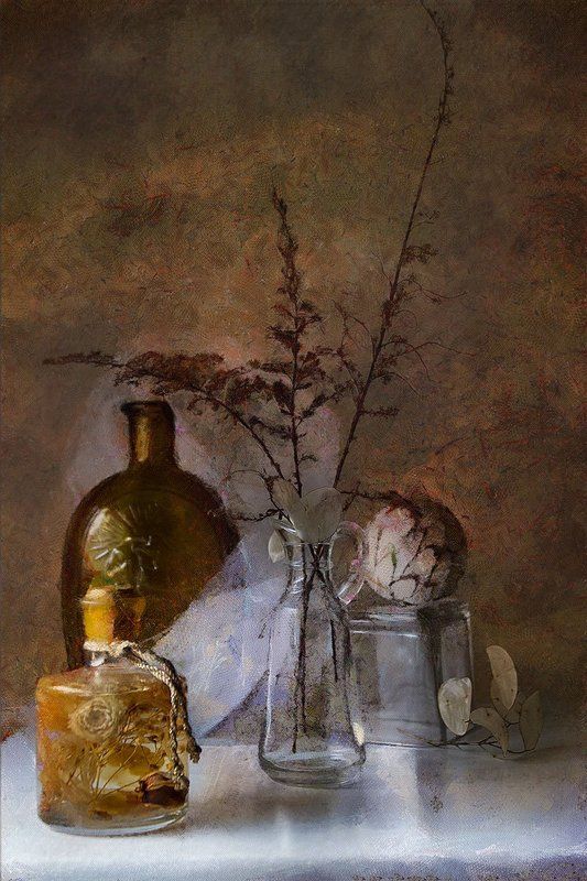 гербарийphoto preview