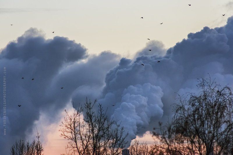 вид, облака, небо, дым, закат, цвет, розовый, пейзаж, Россия, Москва, птицы Из окнаphoto preview
