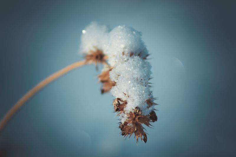 Зимние зарисовкиphoto preview