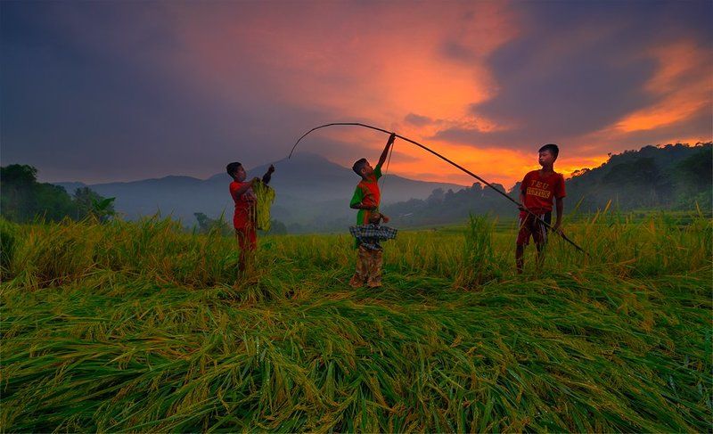 Human Interest, Landscape, Natural light, People, Sunrise Pairs of puppetsphoto preview